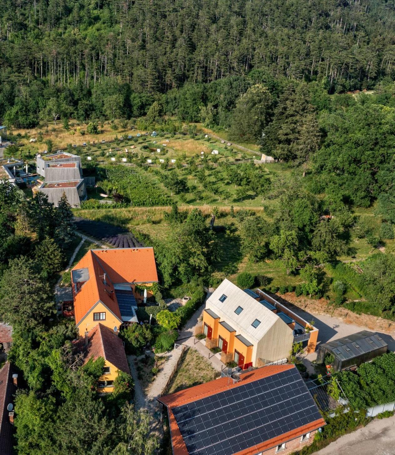 Flora Auf Gut Guntrams Hotel Schwarzau am Steinfelde Kültér fotó